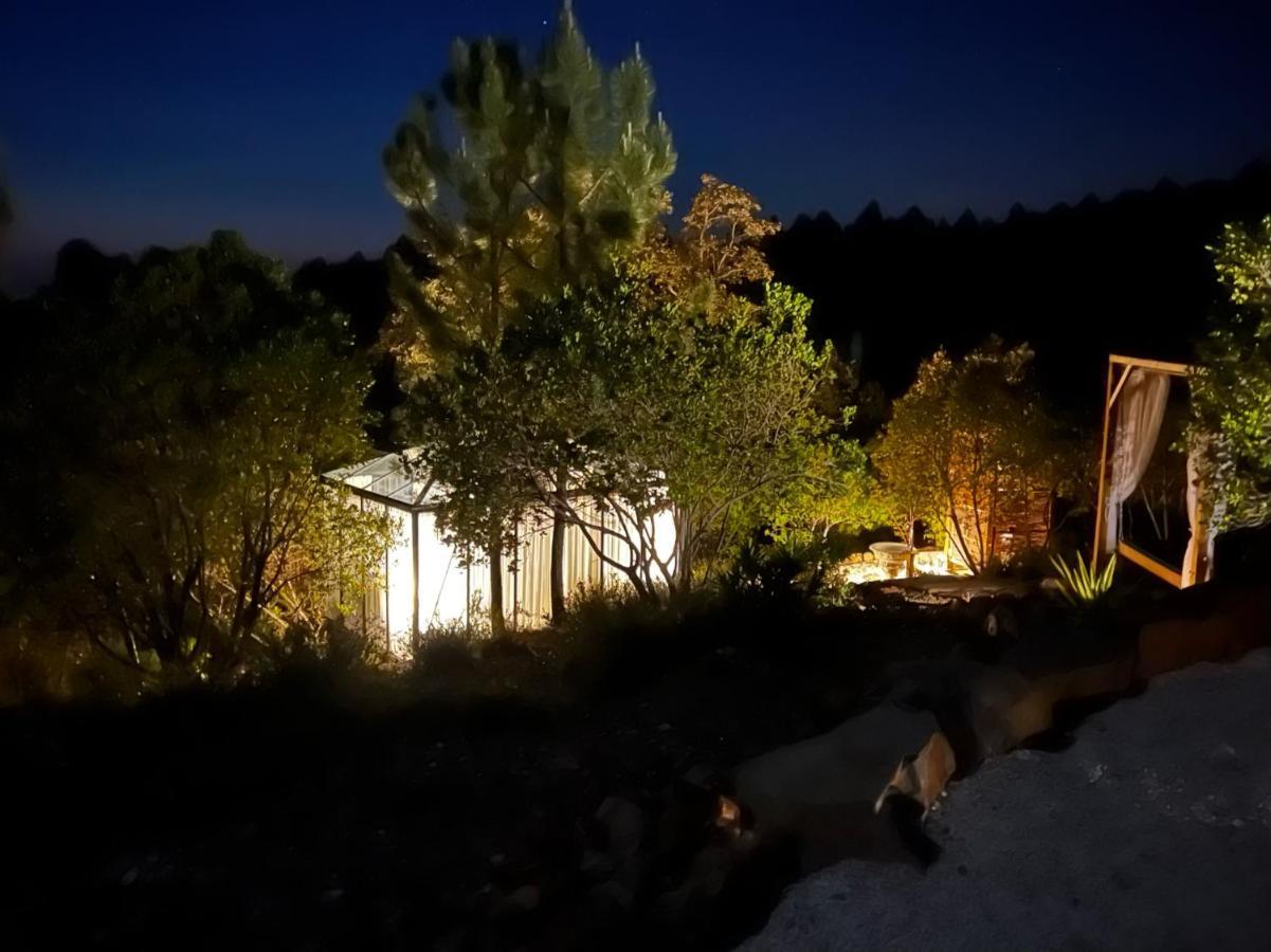 Romantic Skyview Glasshouses Rogil Exterior photo