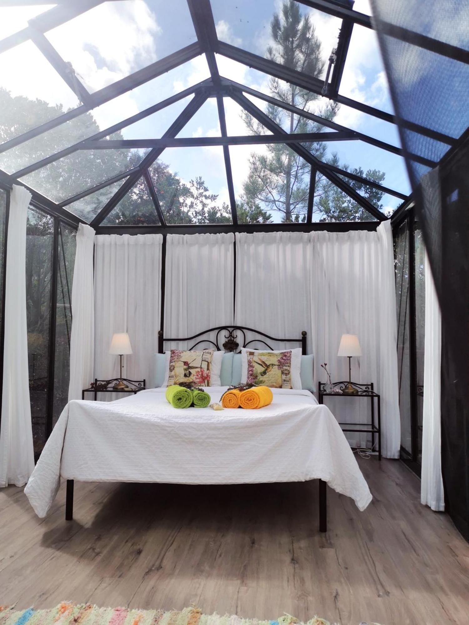 Romantic Skyview Glasshouses Rogil Exterior photo